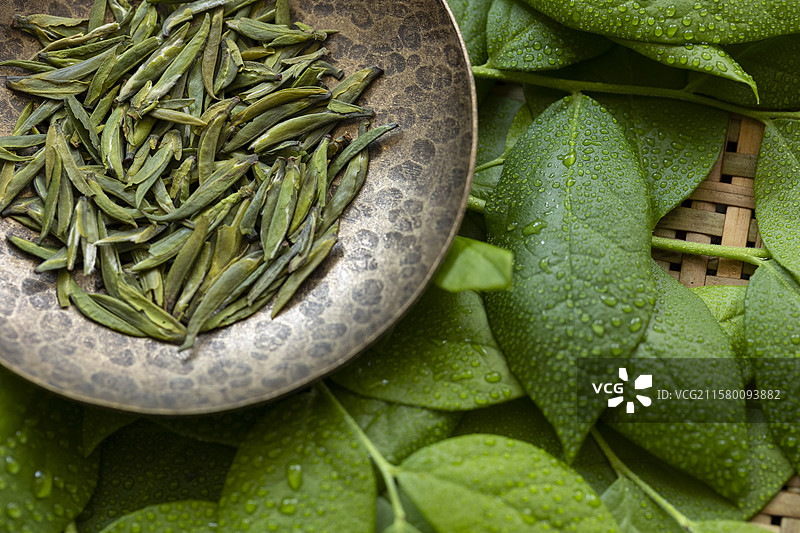 绿茶—仙芝竹尖图片素材