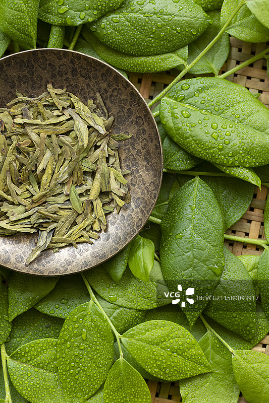 绿茶—龙井茶图片素材