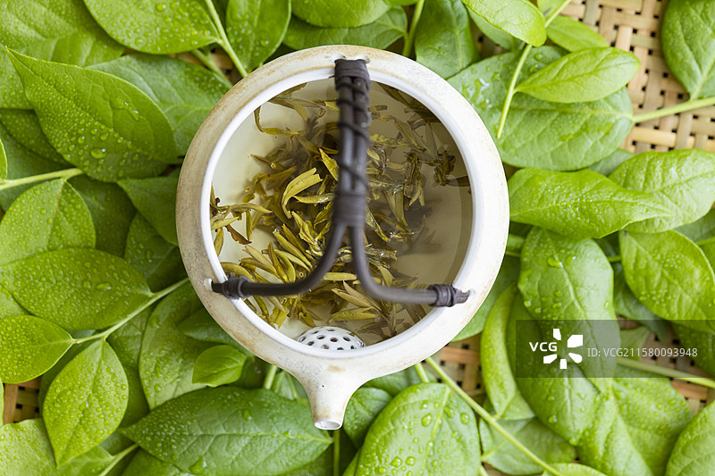 黄茶—蒙顶黄芽图片素材