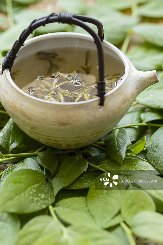 黄茶—蒙顶黄芽图片素材