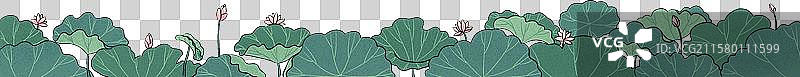 夏天荷花荷叶插画元素图片素材