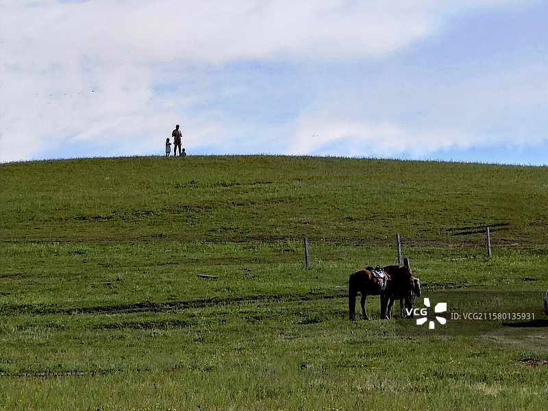 辽阔的草原我的家图片素材