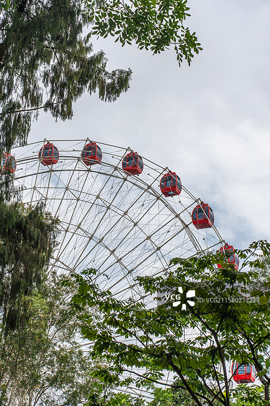 树丛里的摩天轮图片素材