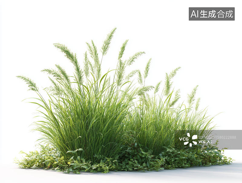 【AI数字艺术】白色背景下的绿色草丛图片素材