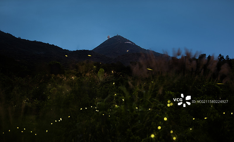 西涌国际暗夜社区西涌天文台萤火虫夜景图片素材