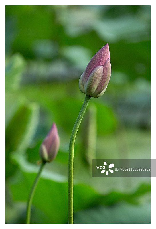 虚与实图片素材