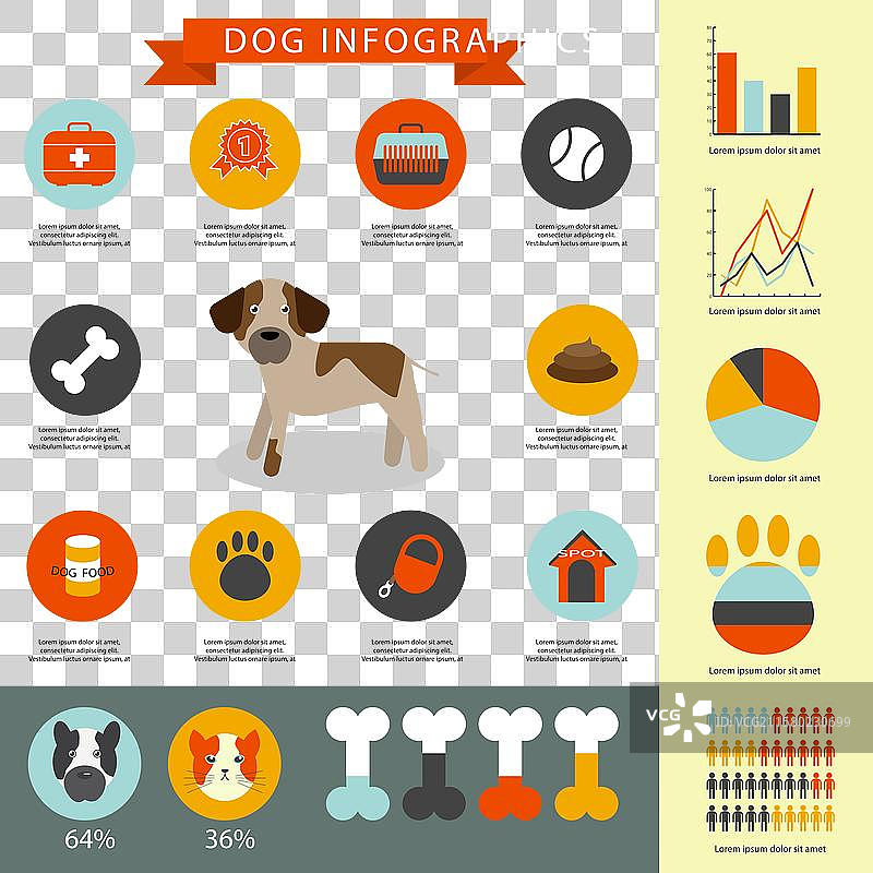 狗的信息图表图片素材