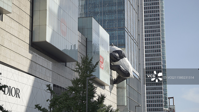 成都地标建筑 IFS国际金融中心爬墙的熊猫图片素材