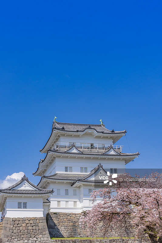 小田原城，神奈川，日本图片素材