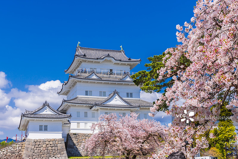 小田原城，神奈川，日本图片素材