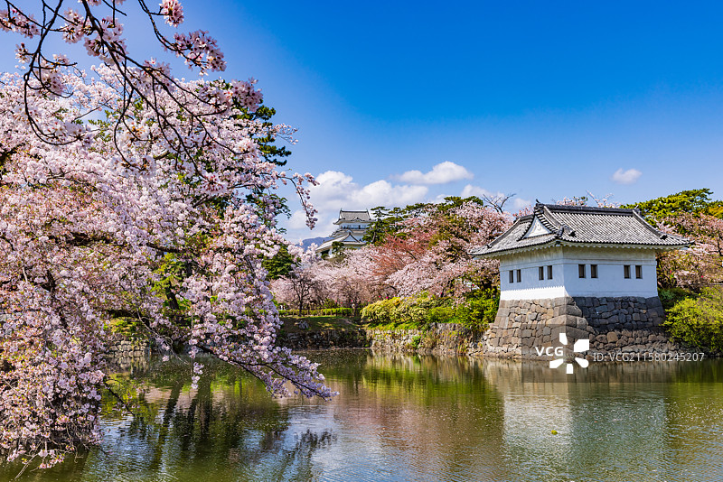小田原城，神奈川，日本图片素材