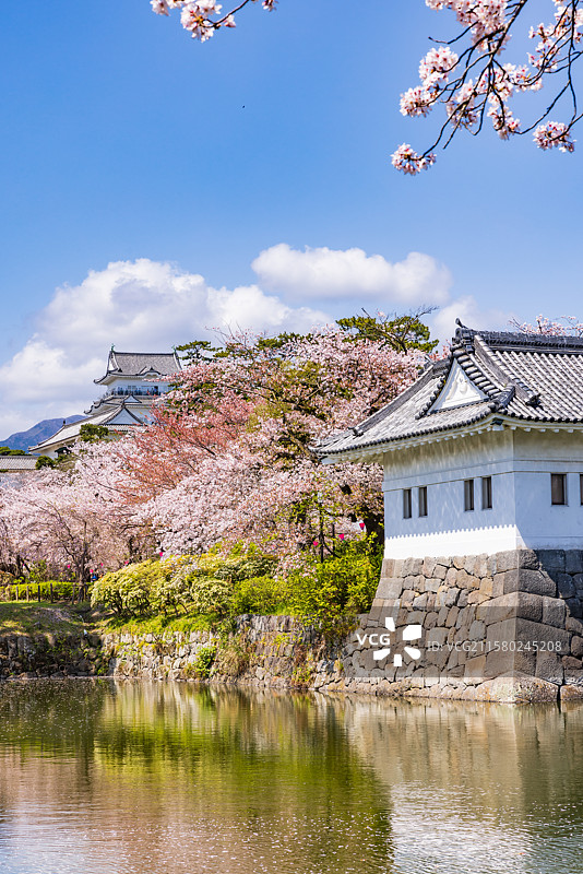 小田原城，神奈川，日本图片素材