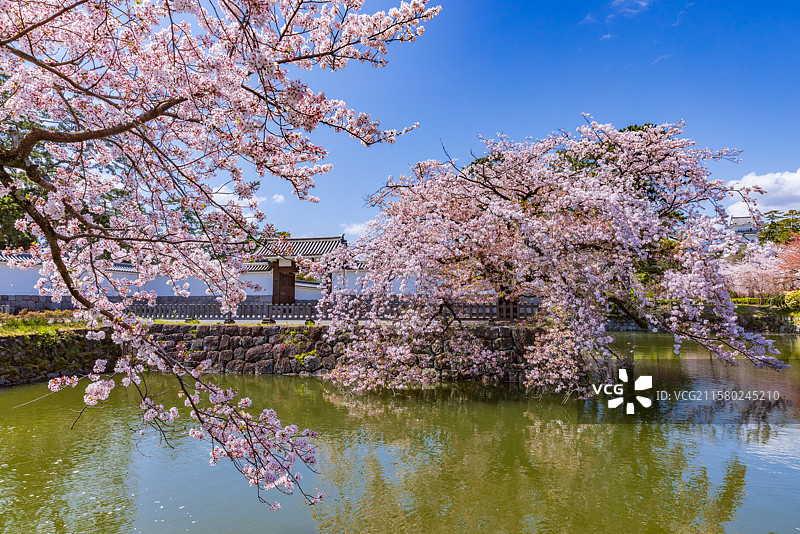 小田原城，神奈川，日本图片素材