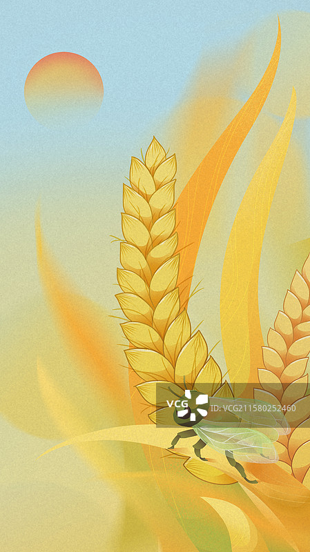 秋天立秋秋分丰收节气海报金黄色稻谷寒蝉素材psd图片素材