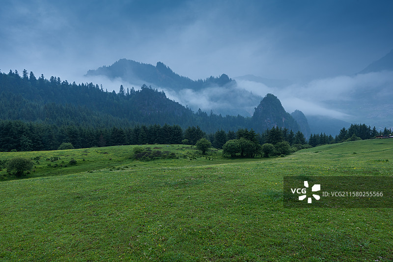 晨雾中高山森林草地自然风景背景图片素材
