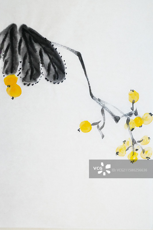 东山枇杷 水果 果实 枇杷 金色 手绘插画齐白石风格中国画图片素材