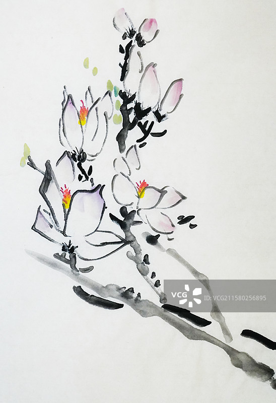 春天 玉兰花 手绘插画齐白石风格中国画图片素材