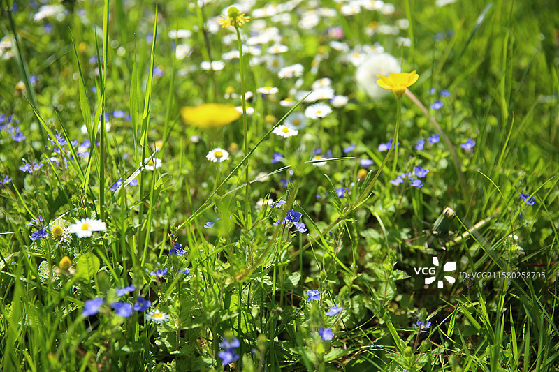 法国朗香教堂接待中心图片素材