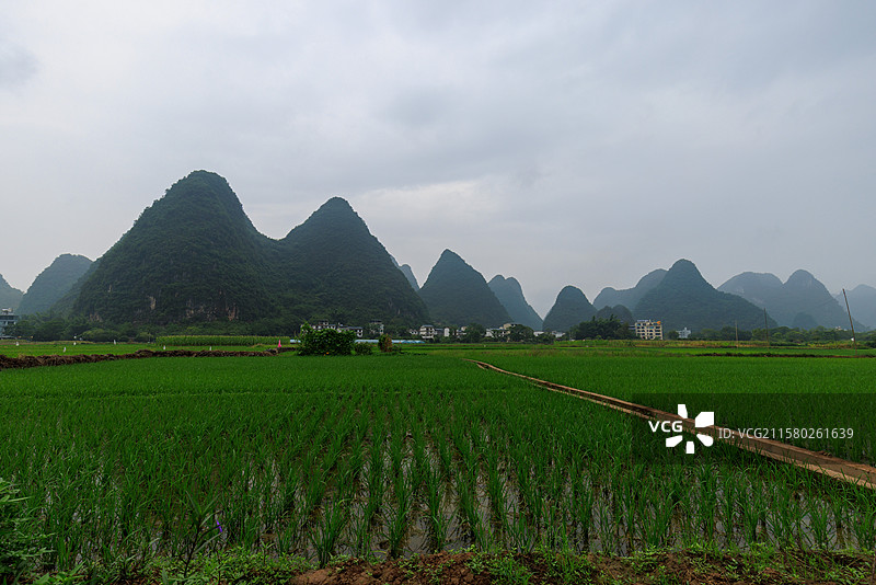 著名旅游城市桂林阳朔十里画廊的田园风光图片素材
