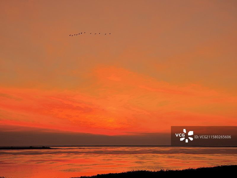 呼和诺尔湖晨光飞鸟图片素材