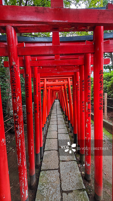 东京根津神社，历史超 1900 年，为东京十社之一，江户建筑保存完好，杜鹃花海美，还有文豪古迹，魅力图片素材