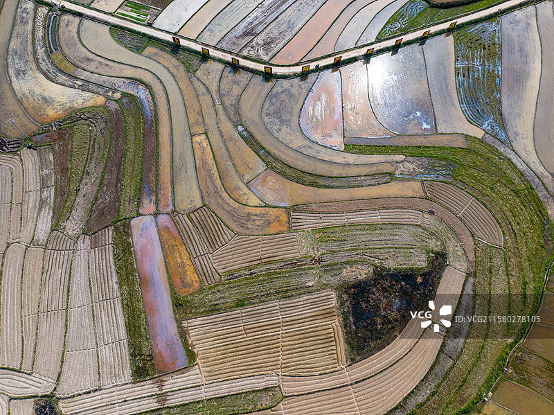 广西防城港市美丽乡村、艺术田园、彩绘大地、七彩田园图片素材