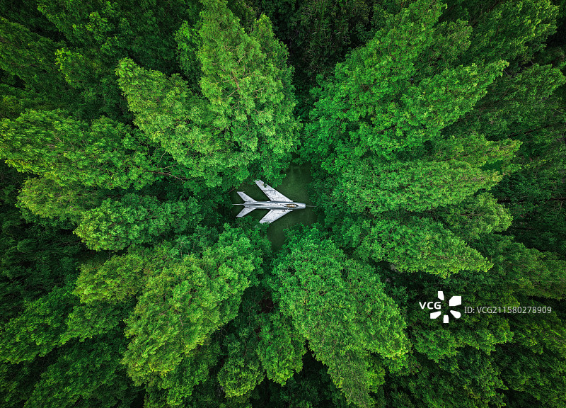 生态岛崇明国家森林公园水杉树林里的歼六战斗机飞机模型爱国主义教育基地图片素材