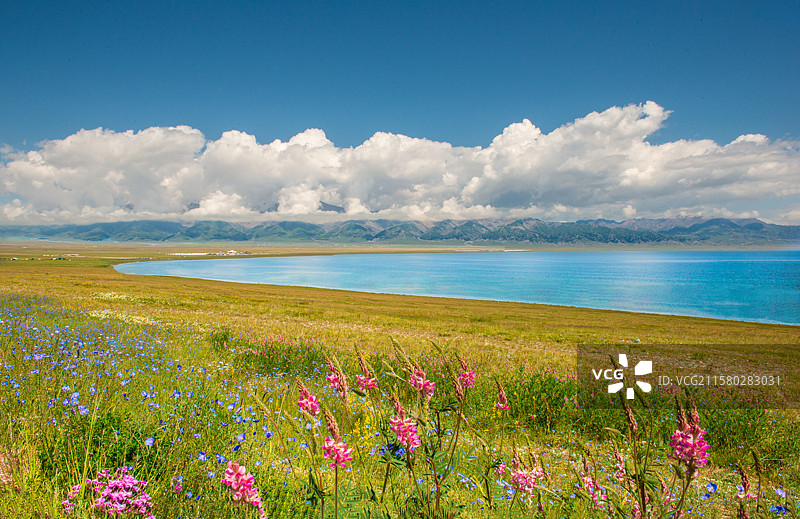 赛里木湖畔图片素材