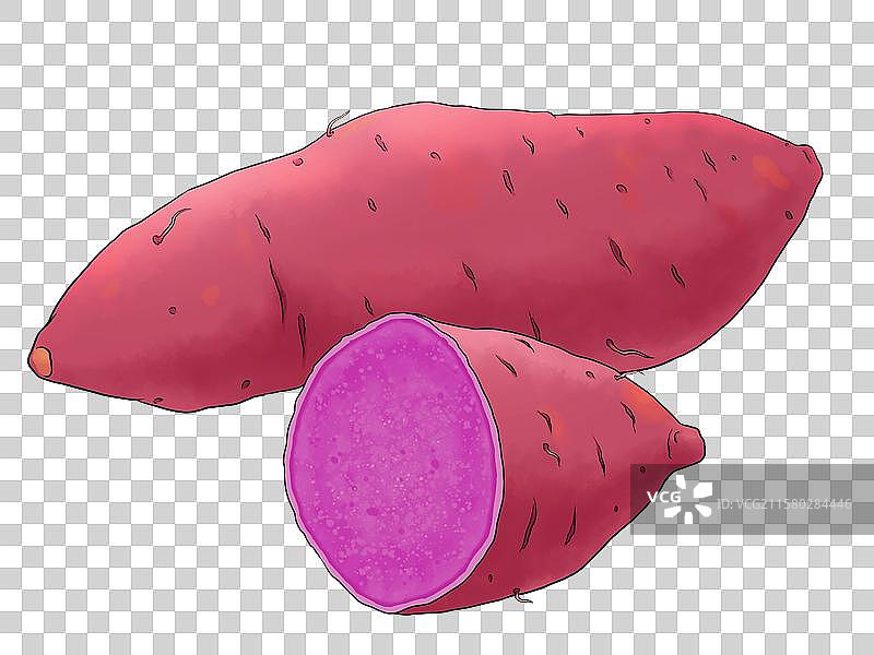 紫薯番薯地瓜图片素材