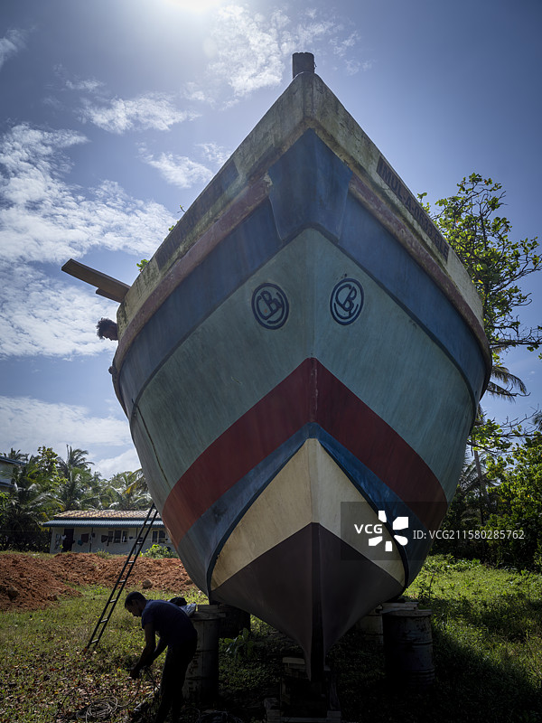 斯里兰卡加勒海龟保育基地图片素材
