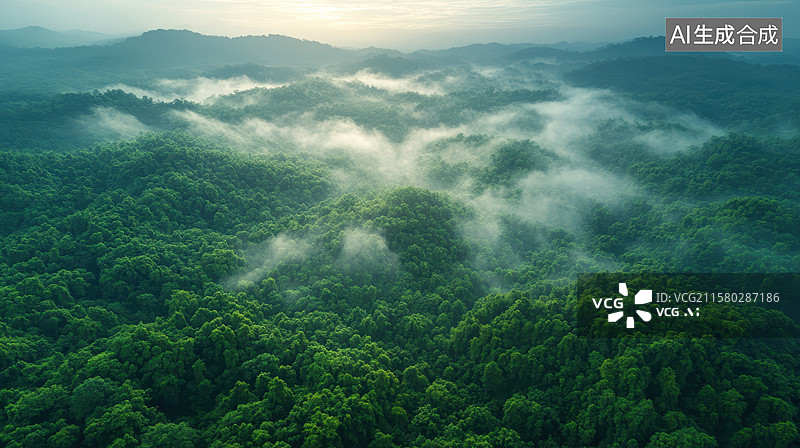 【AI数字艺术】航拍薄雾山林，尽显壮美神秘之景图片素材