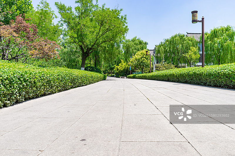 中国5A级旅游景区拍摄主题，山东济南大明湖公园园林，绿色的植物花坛和砖地人行道，户外白昼无人图像摄影图片素材