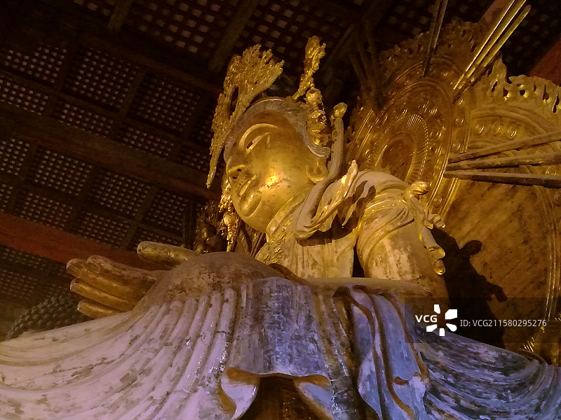 日本奈良东大寺秋天小鹿红叶八幡宫手向山神社二月堂三月堂正仓院法华堂等佛菩萨金刚力士像等图片素材