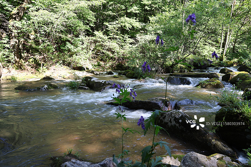吉林太平沟，瀑布，深林，小路，休闲，避暑，图片素材