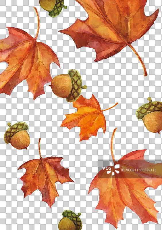 水彩画的自然秋季元素精美卡片图片素材