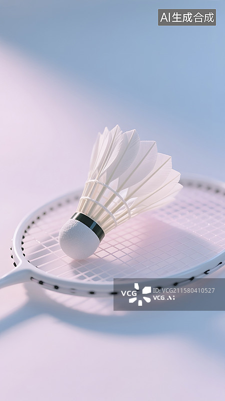 【AI数字艺术】羽毛球与球拍静物特写图图片素材