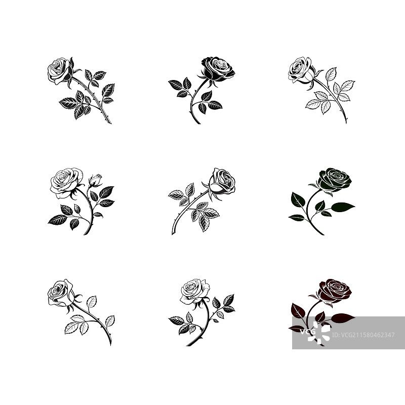 九种独特艺术设计的优雅玫瑰图片素材