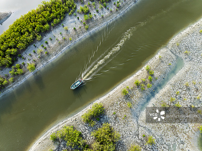 红树林湿地图片素材