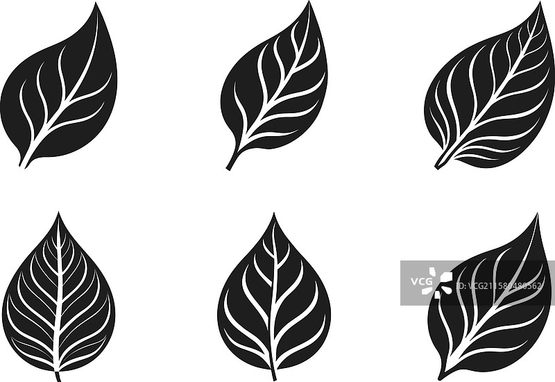 一组优雅的叶子剪影 - 生态友好图片素材
