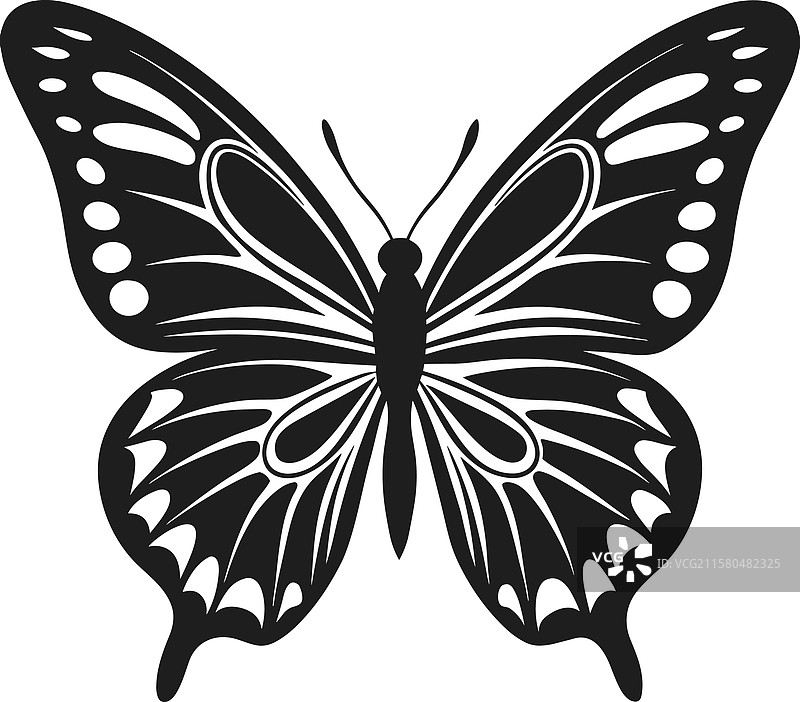 蝴蝶剪影 - 优雅的春季灵感图片素材