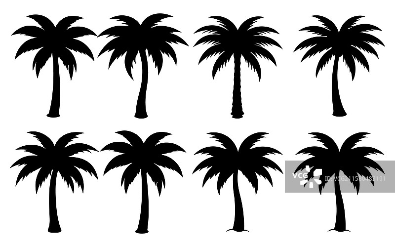 棕榈树剪影的集合图片素材