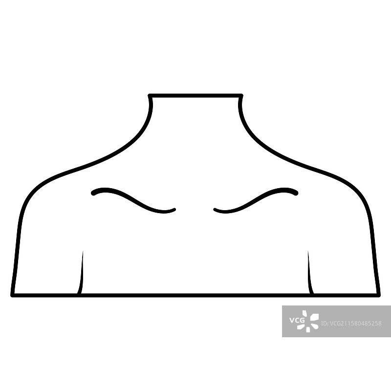 肩膀和锁骨的轮廓图片素材