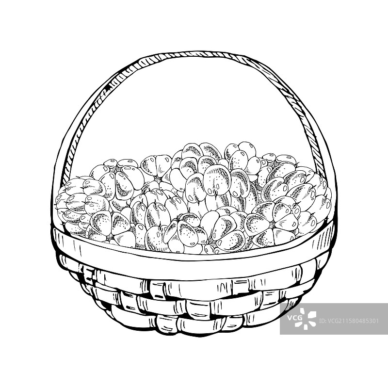 手绘的编织篮子里的云莓和覆盆子图片素材