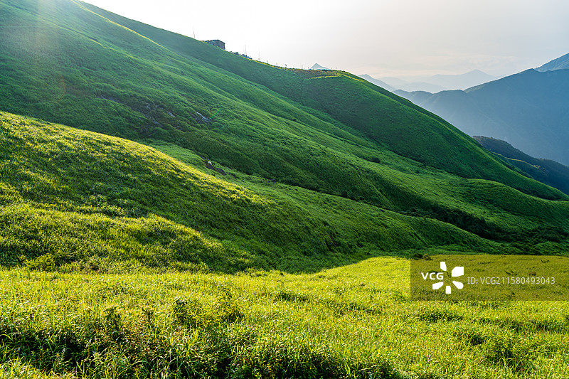 阳光下的绿色山丘图片素材