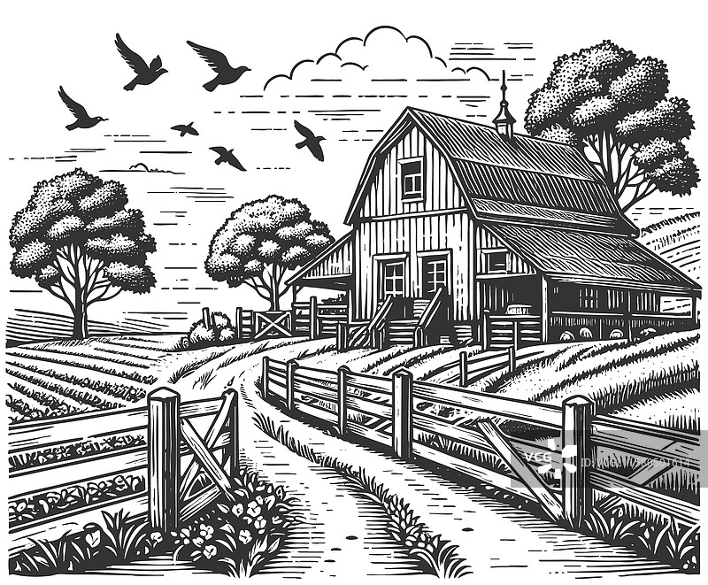 风景如画的农田景观图片素材