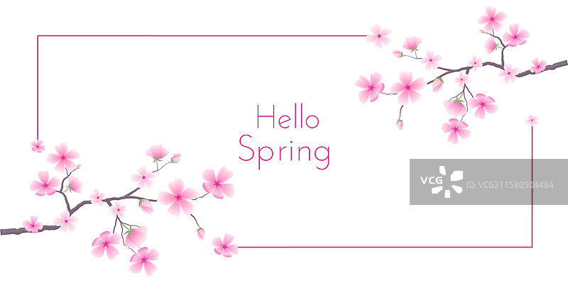 装饰性樱花框架植物背景图片素材