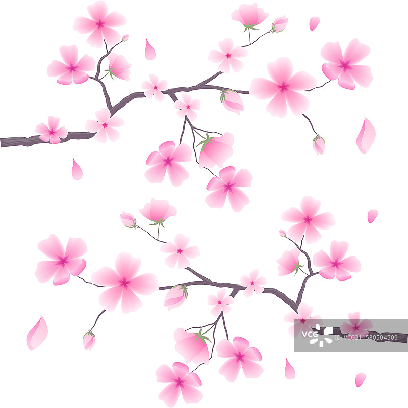 装饰性边框，带有樱花图案图片素材