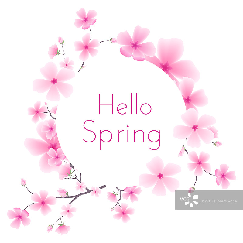 优雅的樱花植物框架图片素材