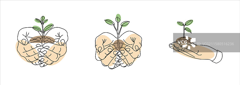 线性风格的春天表现，特色包括图片素材