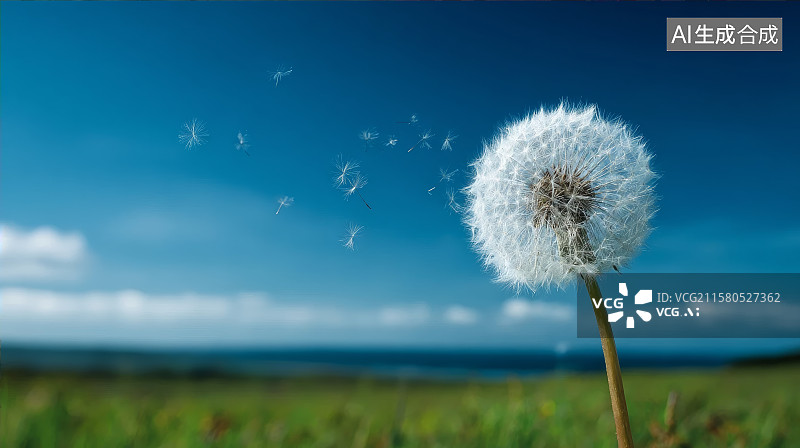 【AI数字艺术】蓝天下的蒲公英图片素材